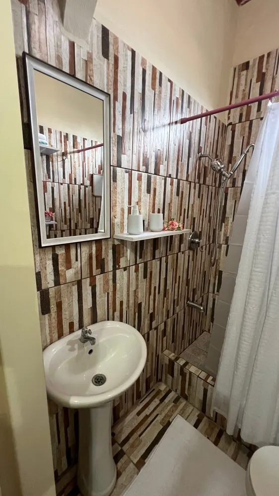The bathroom basin and mirror against wood-patterned wall tiles.